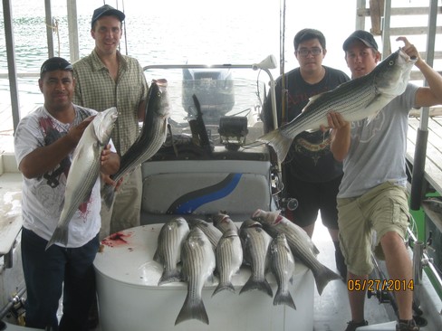 Nice Striped Bass